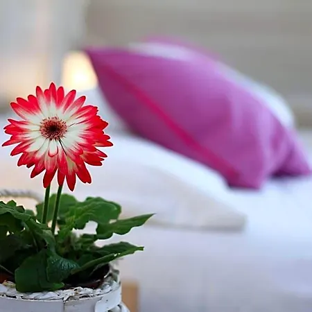 Luna Hotel 3*